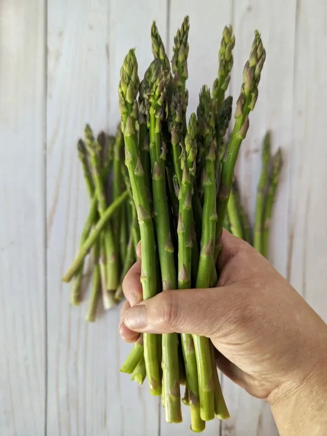 Fresh asparagus being held in a hand.
