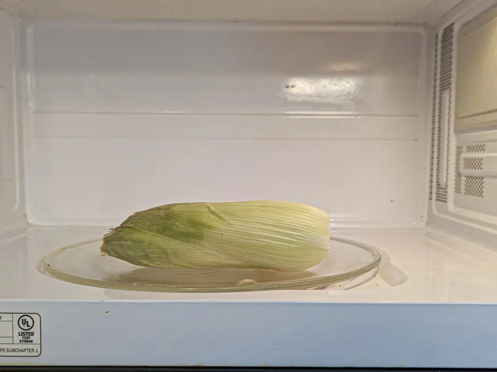 An ear of corn in the microwave.