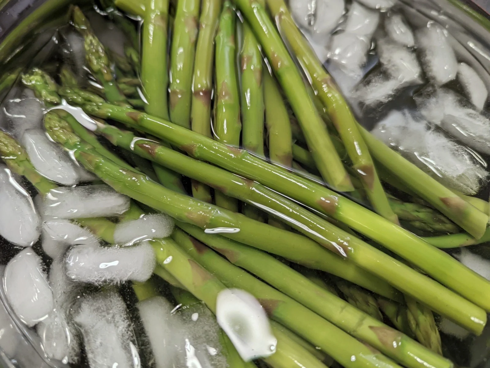 Asparagus laying in an ice bath after boiling. 