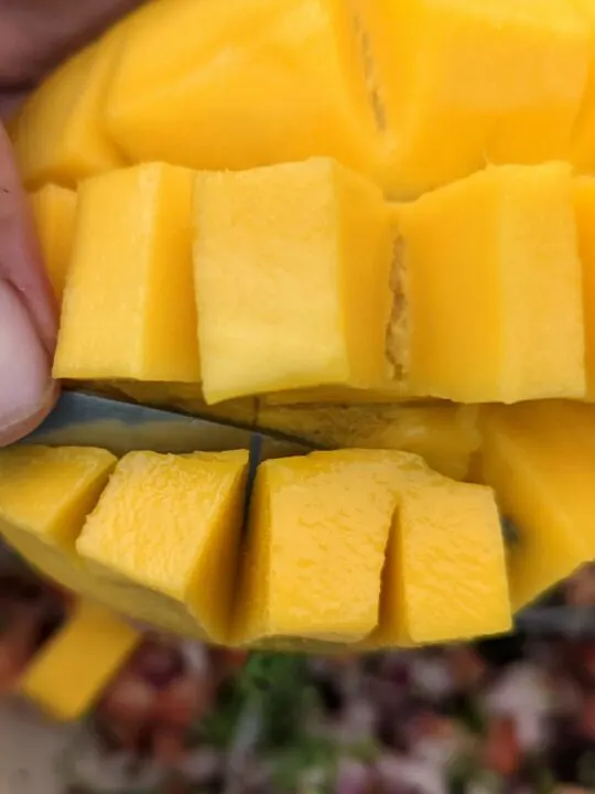 Cut the cubes off of the mango.