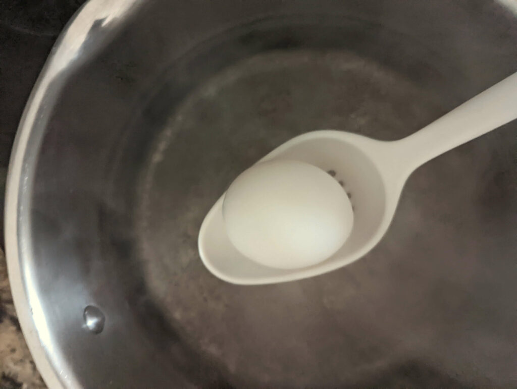 Lower the eggs into the water.