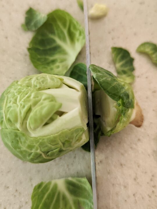 Cut the end off of the sprout.