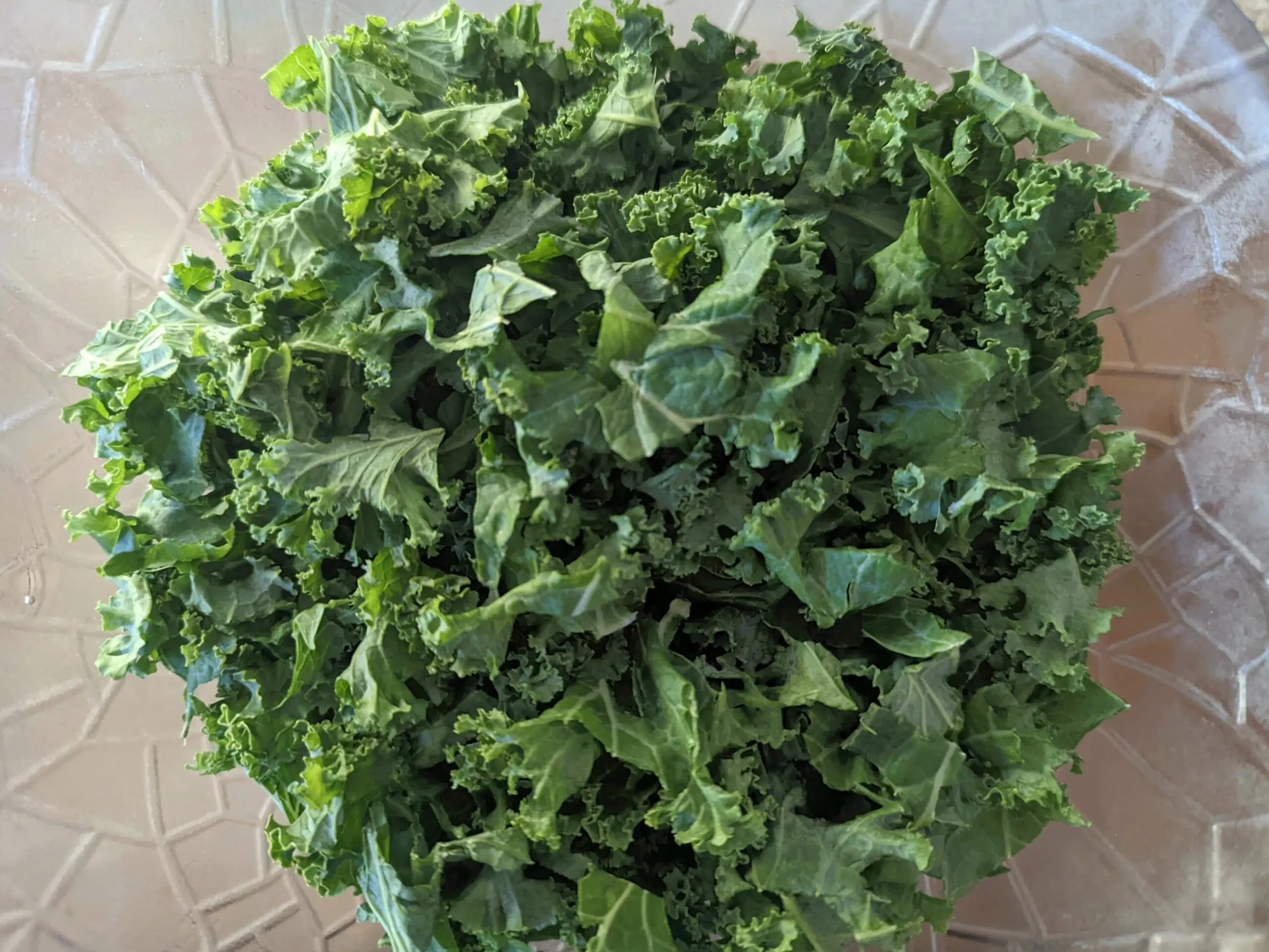 Kale on a plate to create the base for the salad.