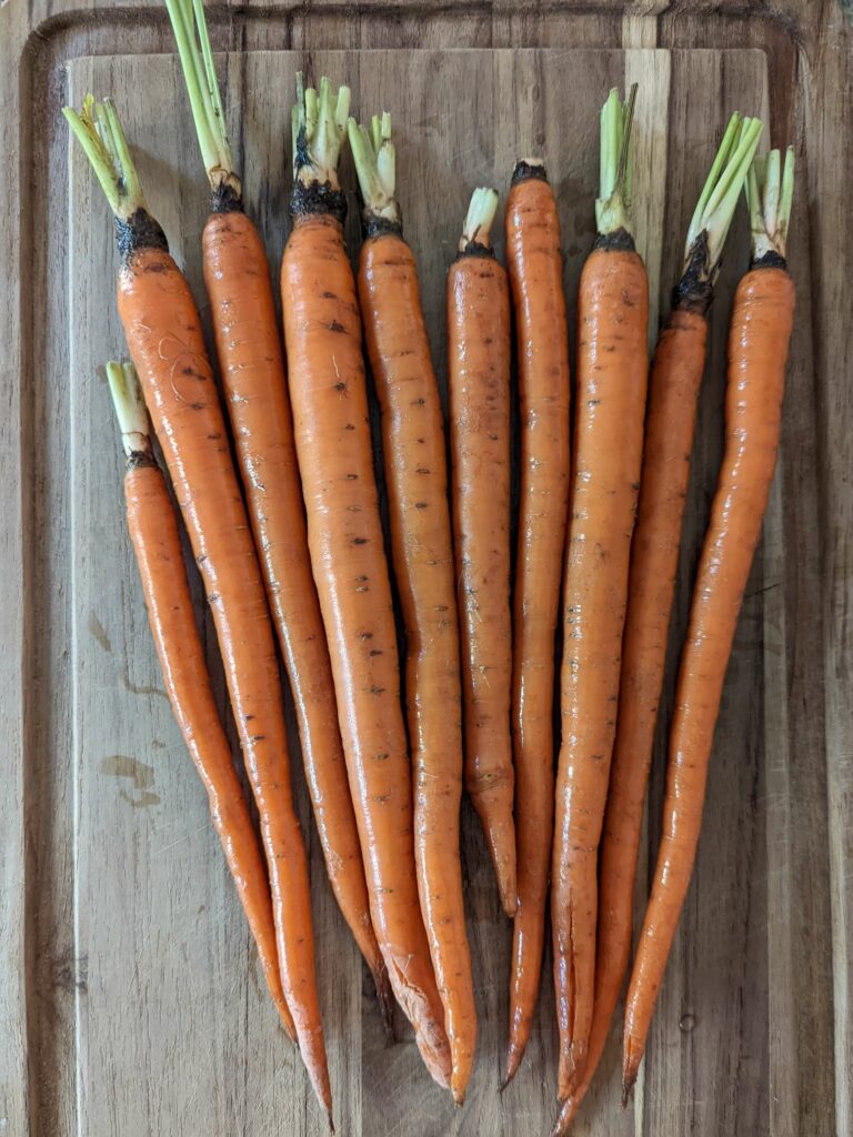 Fresh carrots on a cutting board.