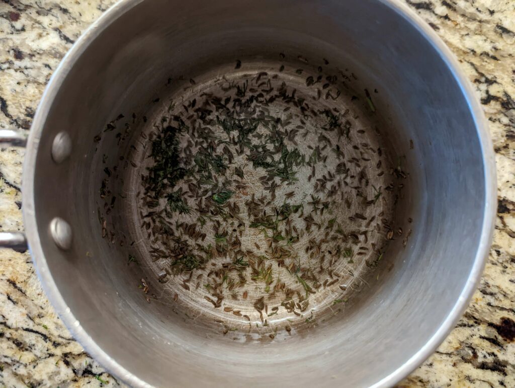 Caraway seeds and dill added to the vinegar mixture in a sauce pan.
