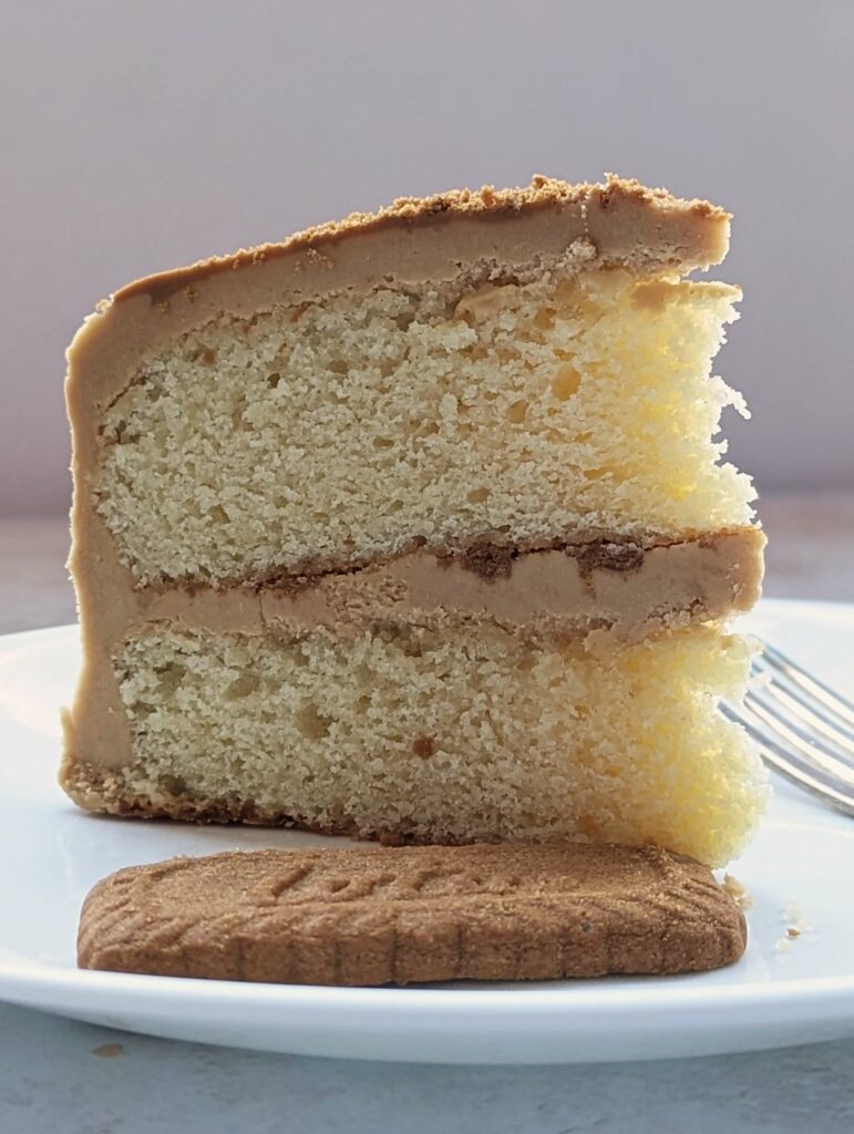 A slice of cake with a cookie next to it.