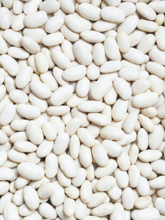 A close up of dry white beans.