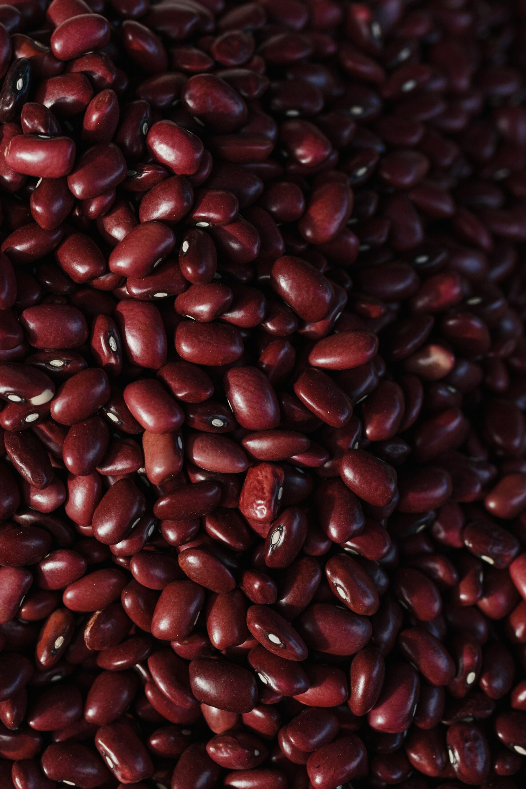 A close up of dried kidney beans.