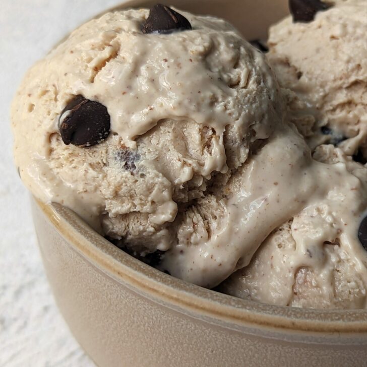 A bowl of cottage cheese ice cream with chocolate chips.