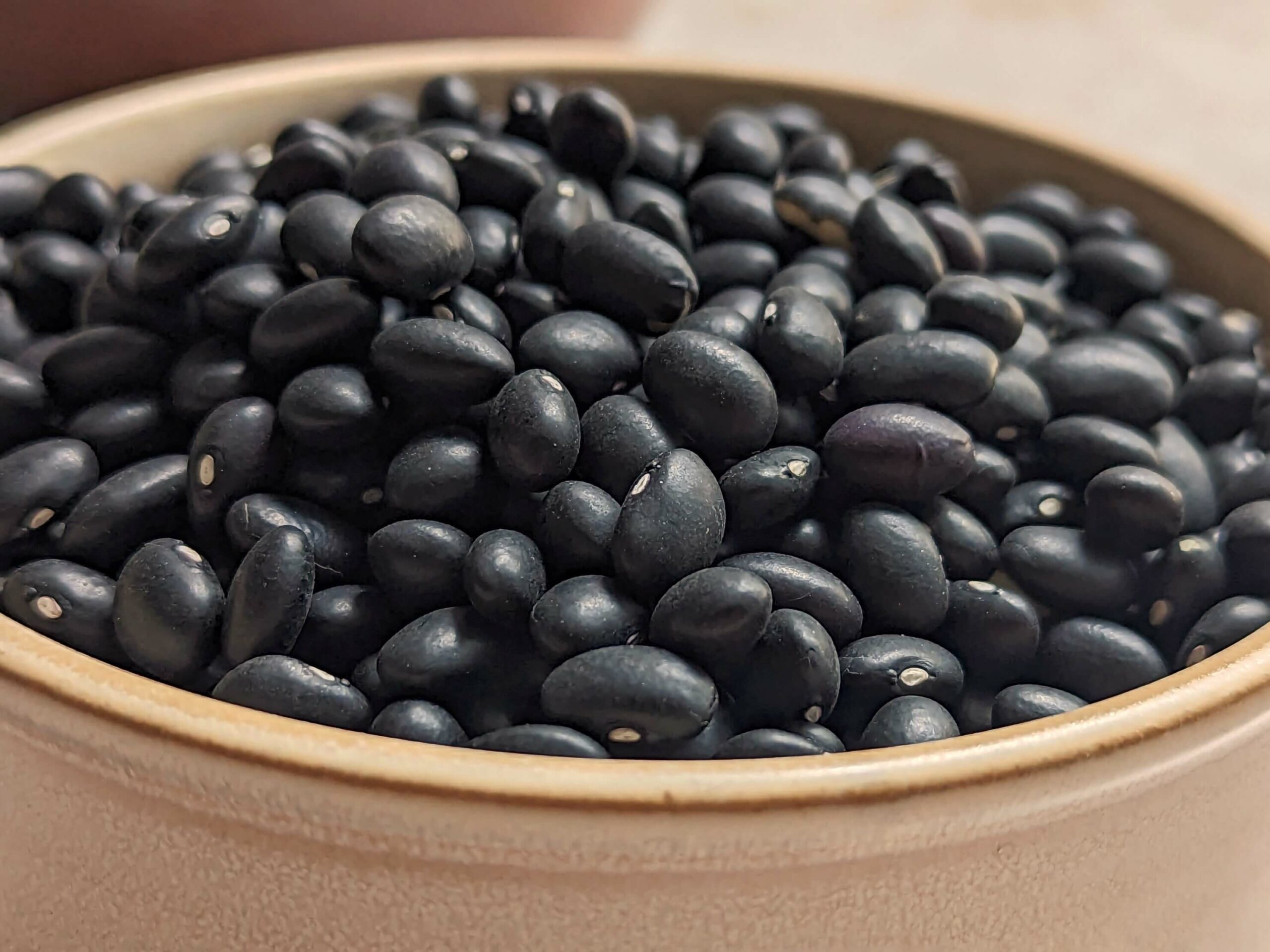 A small bowl of dried black beans.