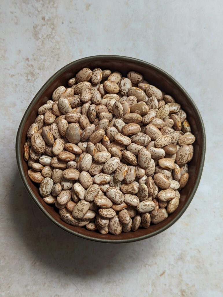 A small bowl of dried pinto beans.