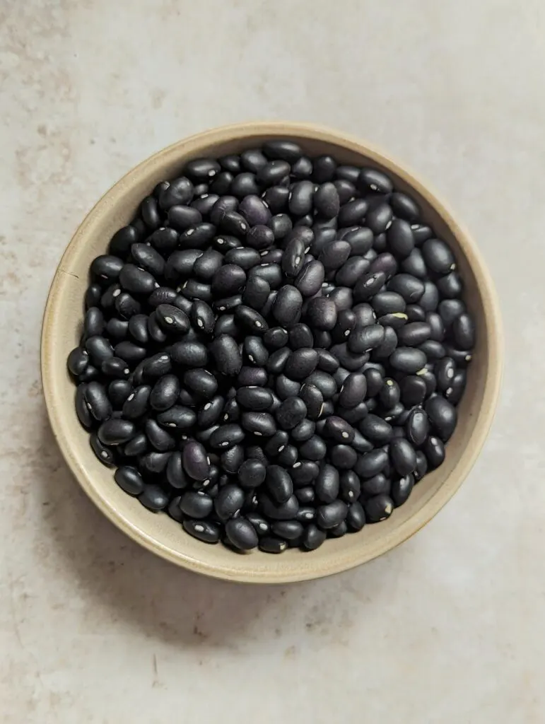 A small bowl of dried black beans.