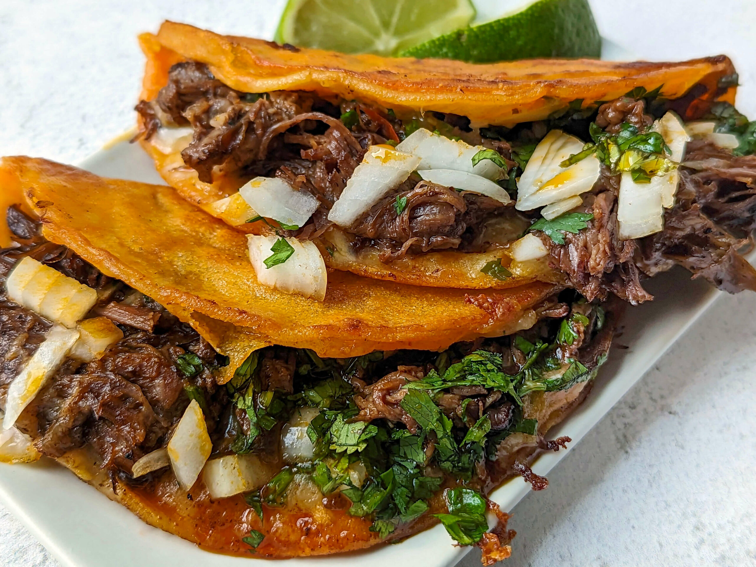 Two birria tacos topped with onion and cilantro.