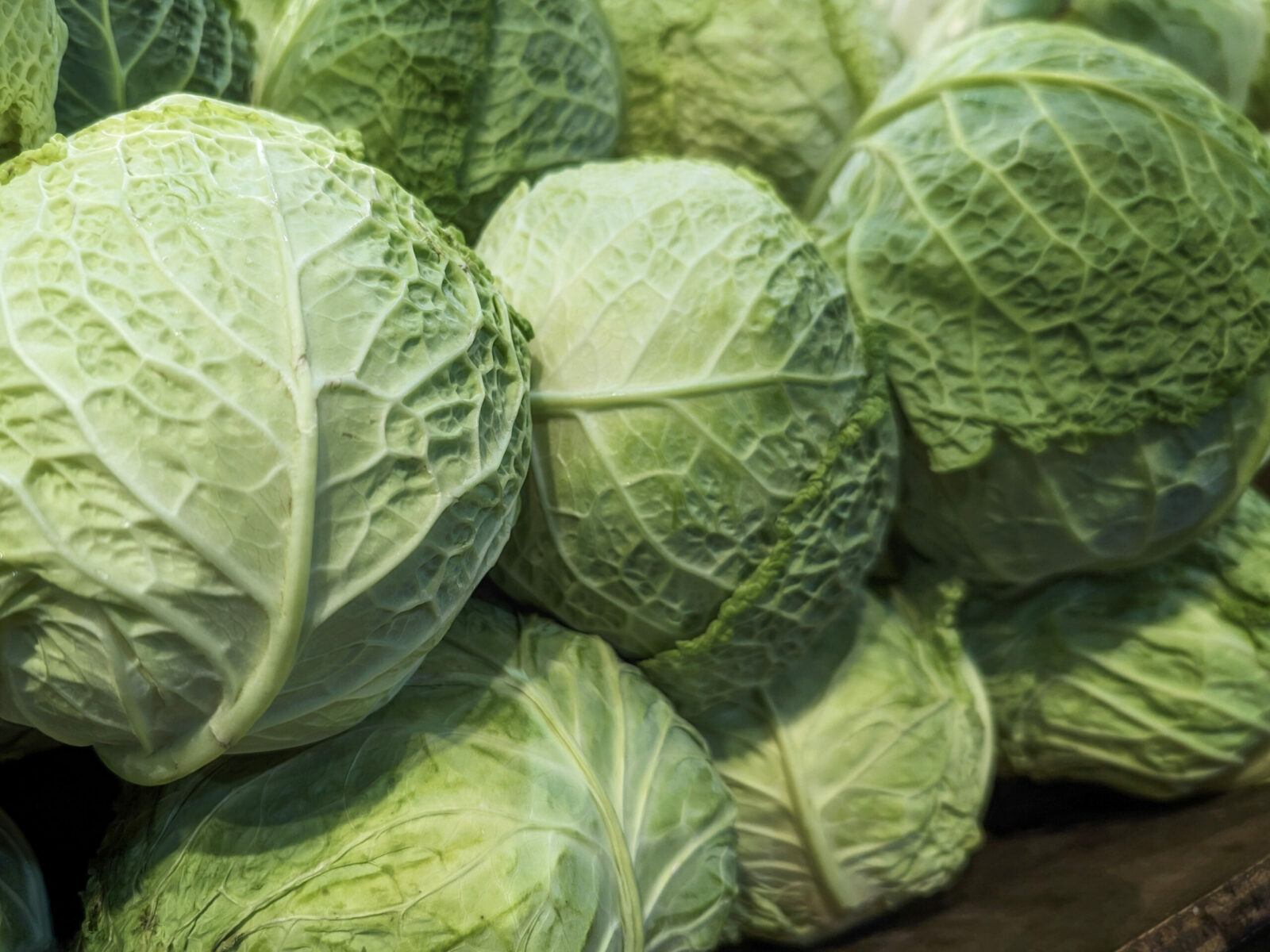 A collection of savoy cabbages on a shelf.