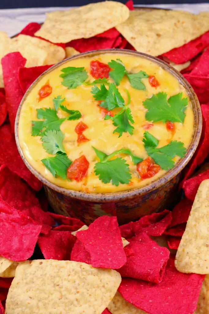 A bowl of chile con queso.