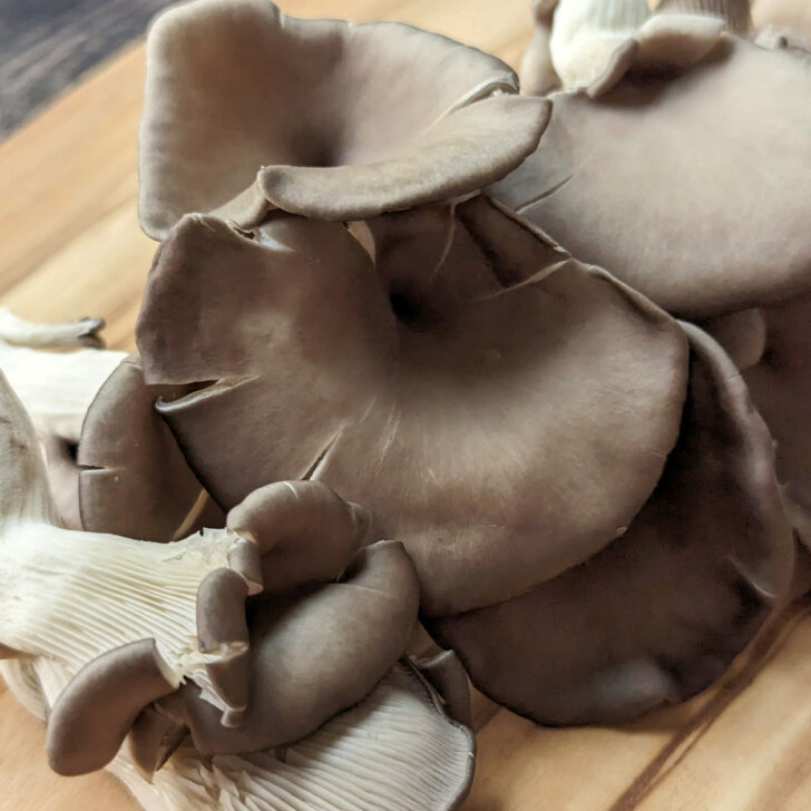 Pearl oyster mushrooms on a cutting board.