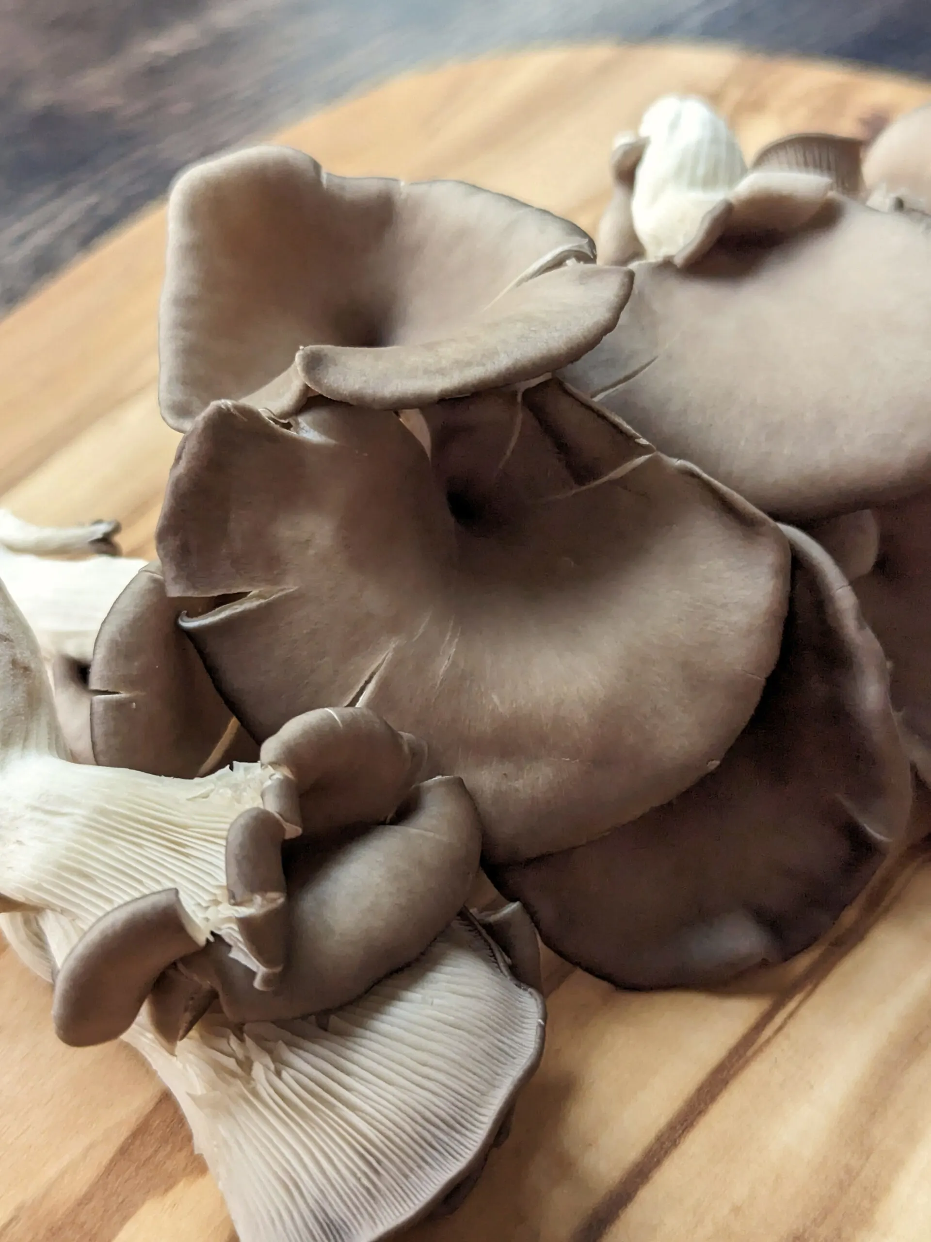 The Secret to Freezing Mushrooms for Fresh Flavor Anytime