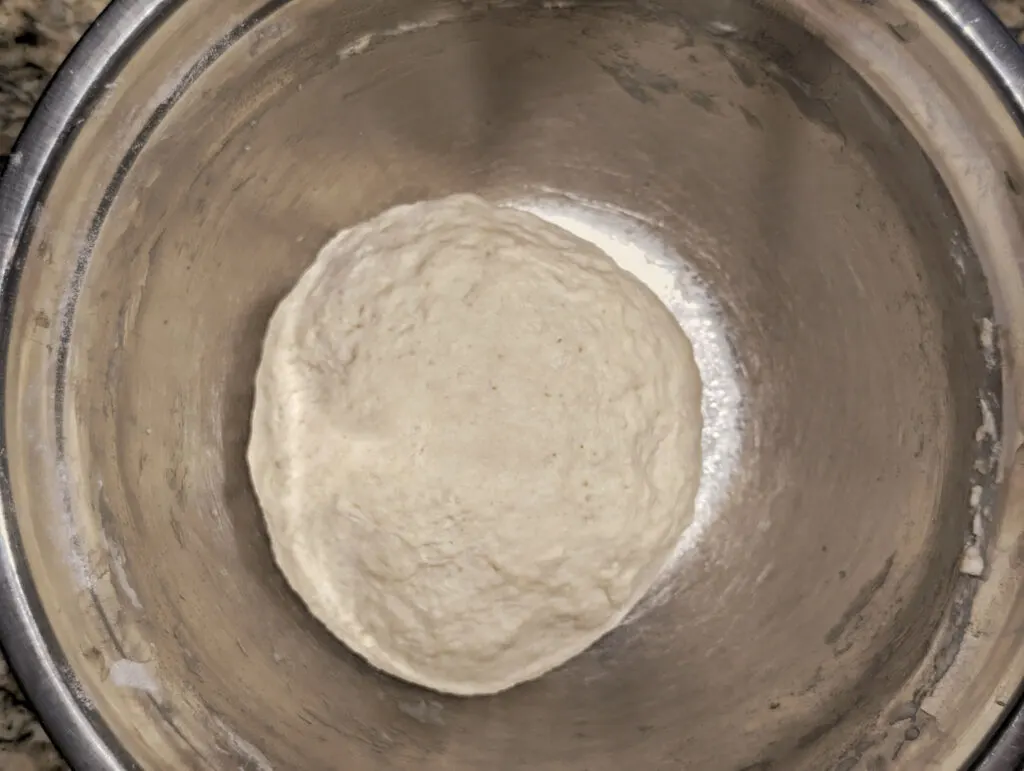 The dough ball in a oiled bowl.